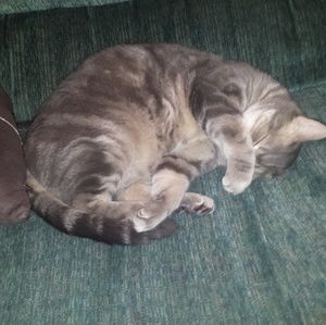 Meet your Posher, Kerry